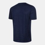 071807_375_2-T-SHIRT-MESCLA-SPEEDO