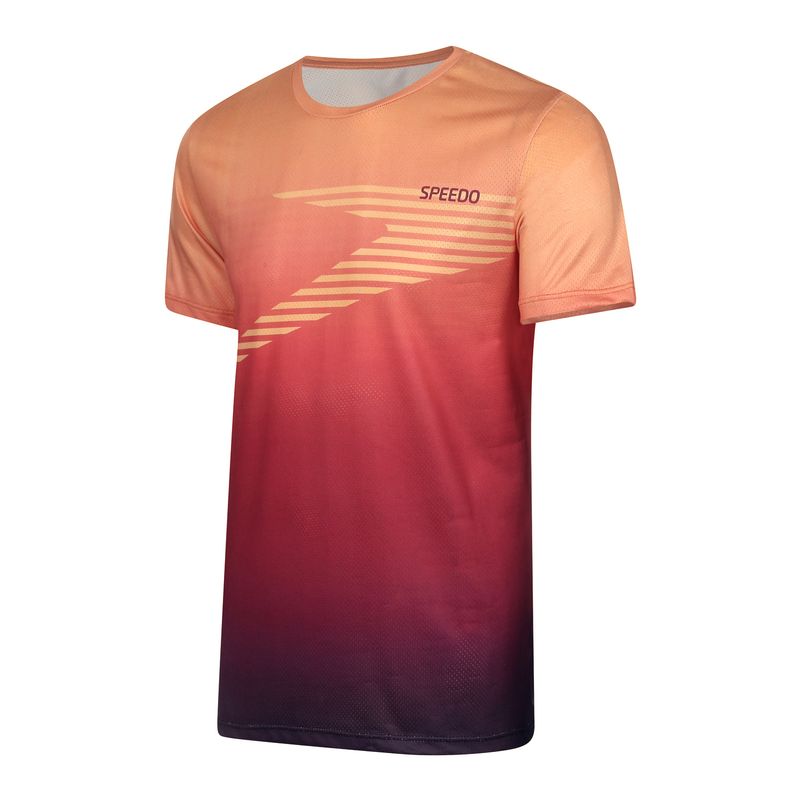 071806_020180_3-T-SHIRT-DEGRADE