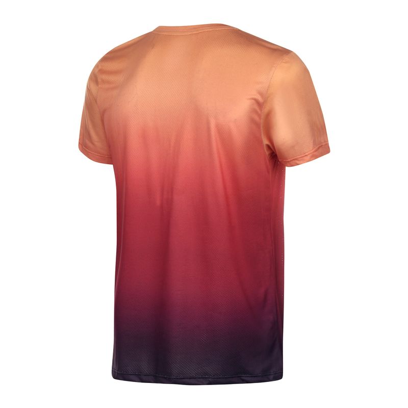 071806_020180_4-T-SHIRT-DEGRADE