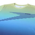 071806_483091_5-T-SHIRT-DEGRADE
