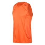 059319_029_1-REGATA-SPEED