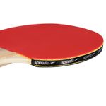 978122_198_05-RAQUETE-TENIS-DE-MESA-ICEBREAKER-2-EST